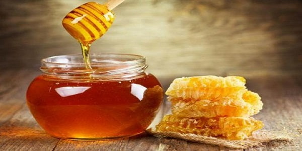 تصویر 1 از قیمت عسل آویشن خالص با کیفیت ارزان + خرید عمده